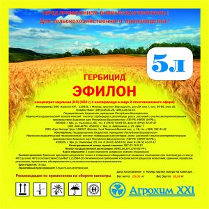 Эфилон
