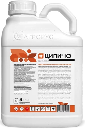 Ципи, КЭ