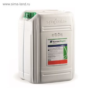 УРАГАН ФОРТЕ, ВР