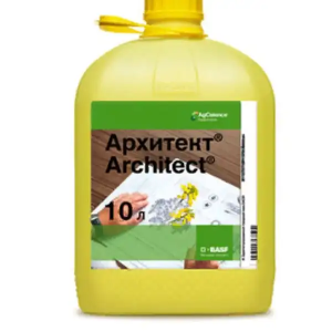 Архитект, СЭ