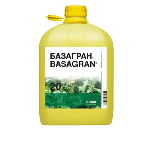 Базагран, ВР