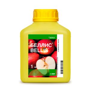 Беллис, ВДГ