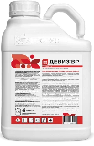 Девиз, ВР
