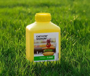 Сигнум, ВДГ