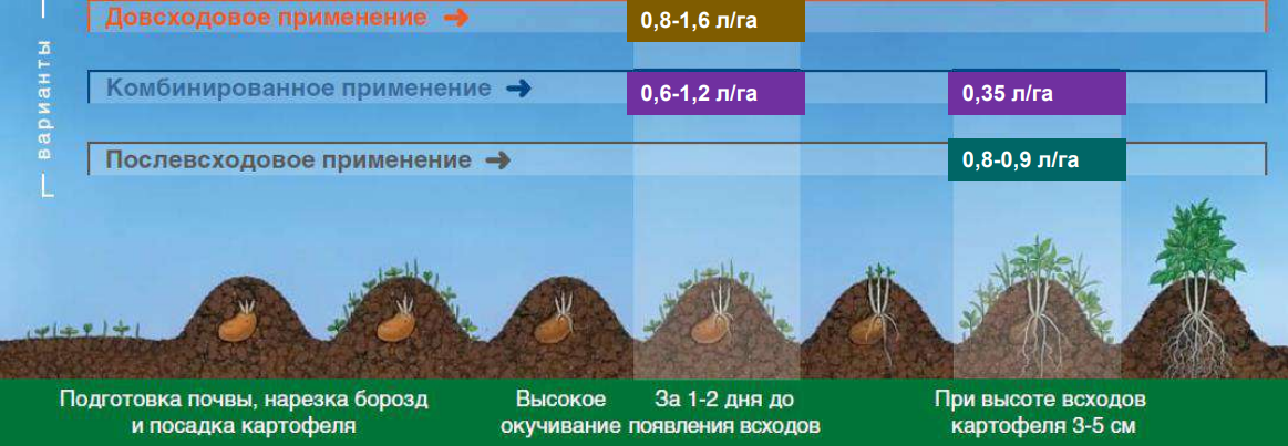 Зенкор Гербицид Цена Инструкция По Применению