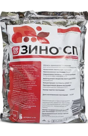 Зино, СП