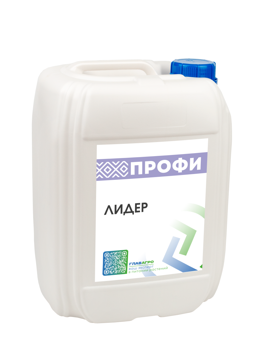 Лидер