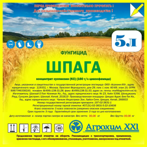 Шпага