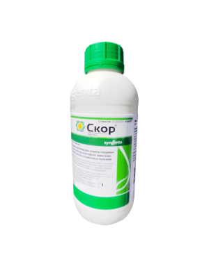СКОР, КЭ