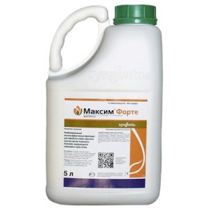 МАКСИМ ФОРТЕ, КС
