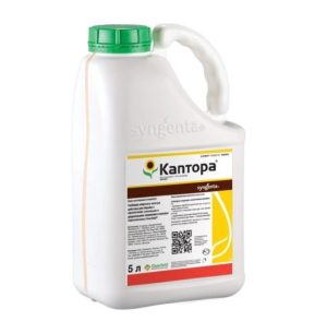 КАПТОРА, ВРК