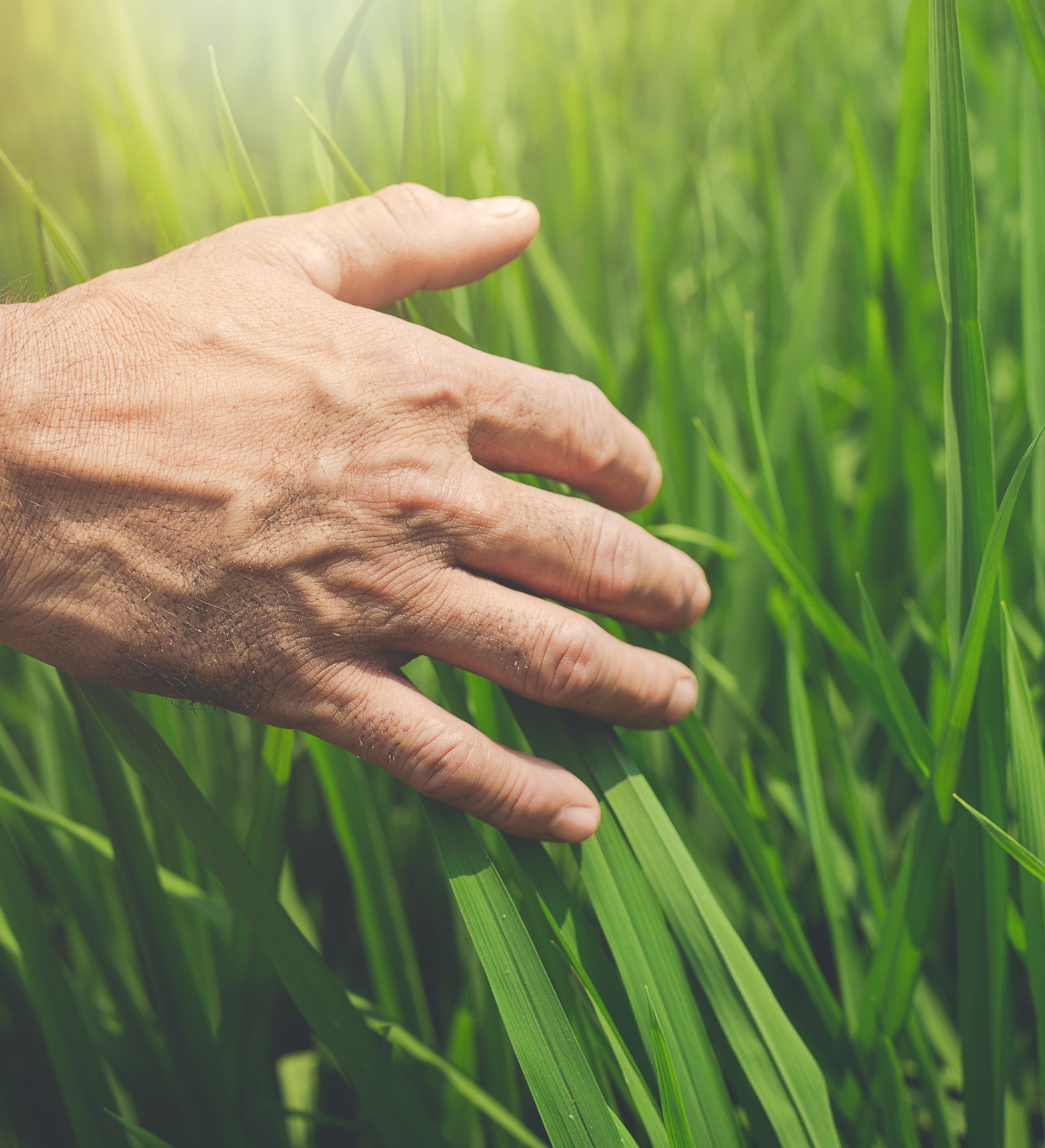 Лаборатория