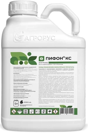 Пифон, КС