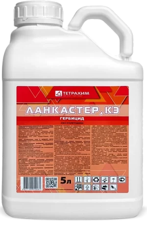 Ланкастер, КЭ